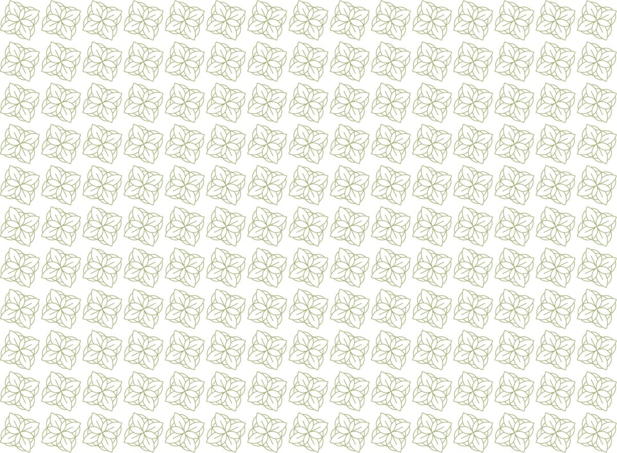 BUN?STARE美容品牌包裝vi設計——有機化妝品品牌視覺設計，vi設計，視覺設計，化妝品品牌vi設計，化妝品vi設計，企業vi設計，品牌vi設計，美容品牌vi設計，vi品牌策劃，深圳vi設計，左右格局